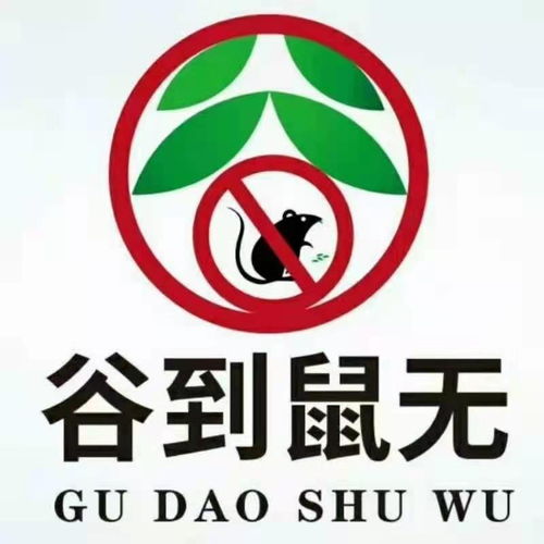 罗湖专业靠谱正规除白蚁公司 全市上门服务，深圳保洁清洗一站式解决方案