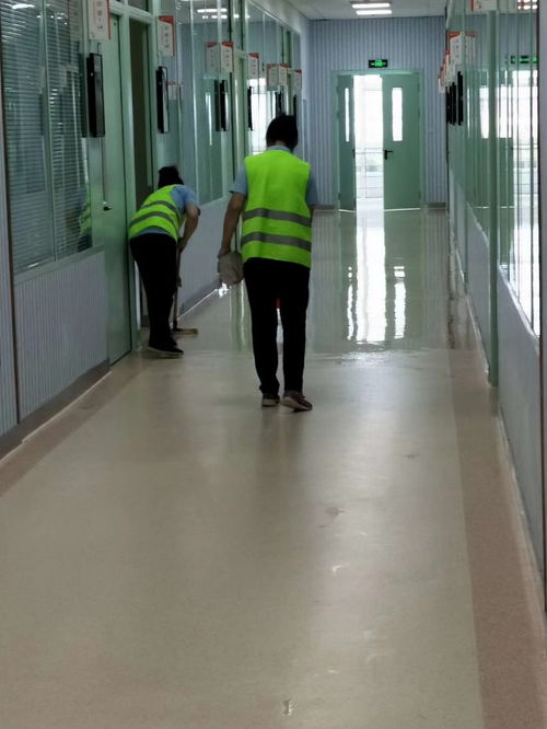 金华附近专业保洁清洗服务指南 日常与室内保洁解决方案